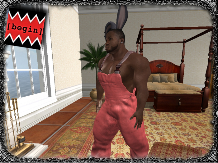 TAZ Worksuit