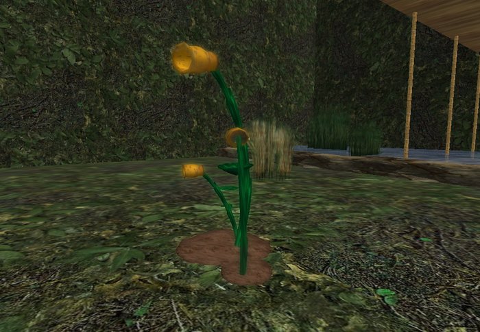 Flower [LiS] (boxed)