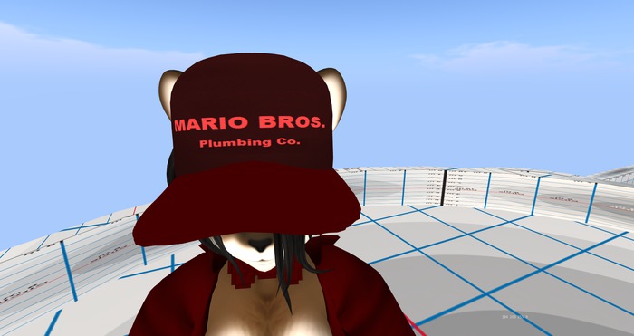 mario hat test 2