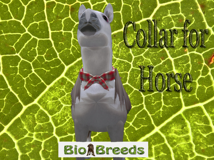 Bandana stole Red for Horse Biobreeds Horse