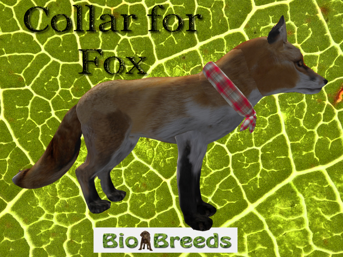 Bandana Stole Red for Fox  Biobreeds Wild