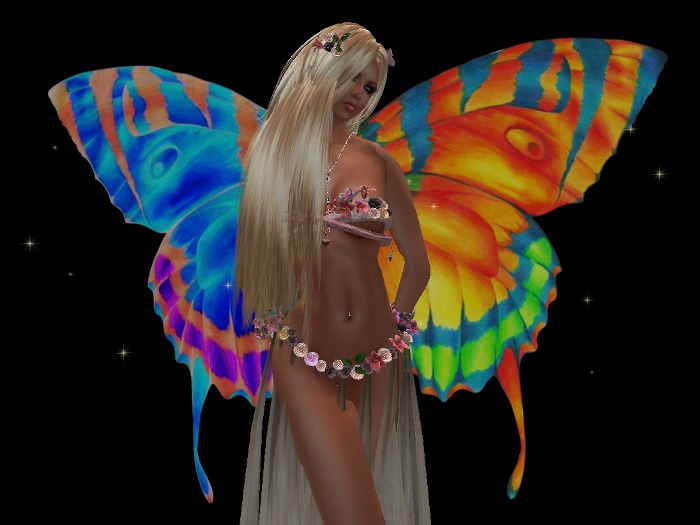 Butterfly Wings - Yellow-Blue