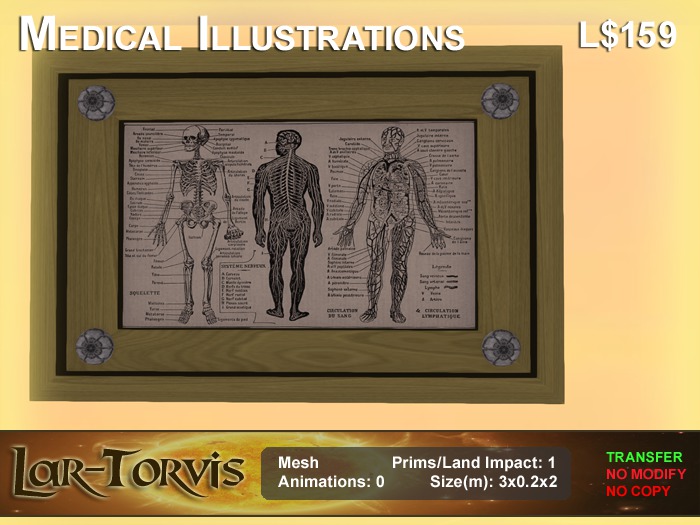 Medical Illustrations
