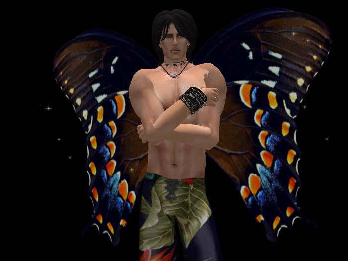 Butterfly Wings - Navy-Bronze
