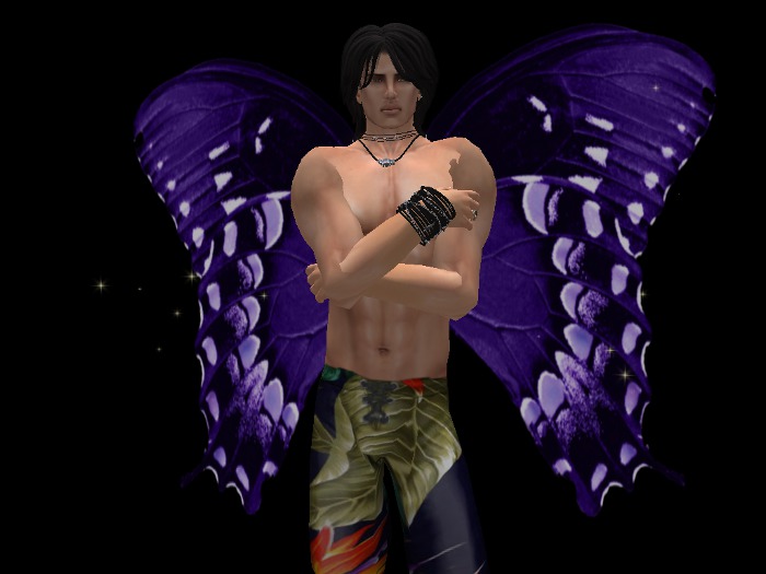 Butterfly Wings - Violet