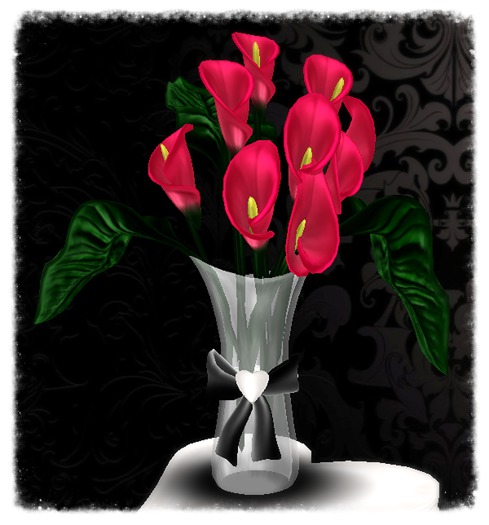 Hot Pink  Calla Lillies In Vase