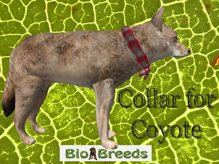 Bandana Stole Red for Coyote  Biobreeds Wild