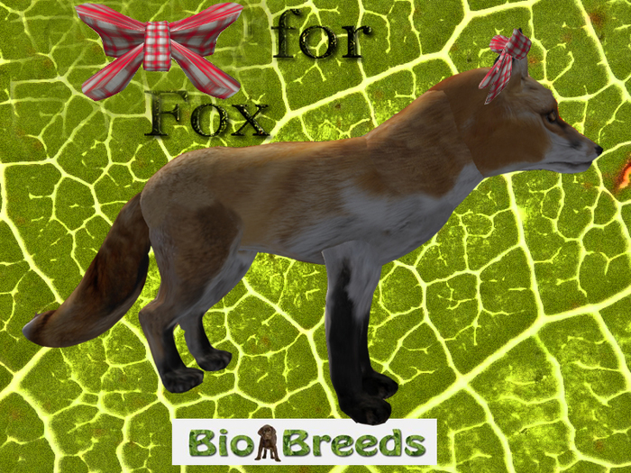 Bow Stole for Fox  Biobreeds Wild
