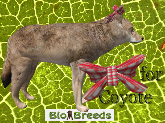 Bow Stole for Coyote  Biobreeds Wild