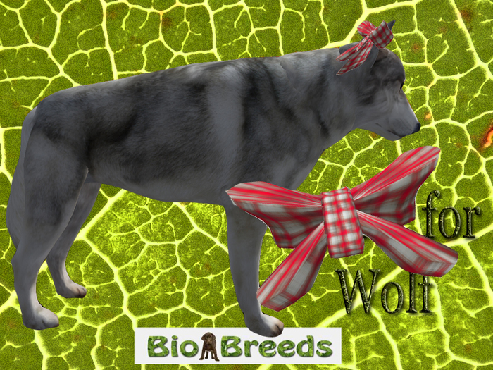 Bow Stole Red for Wolf  Biobreeds Wild