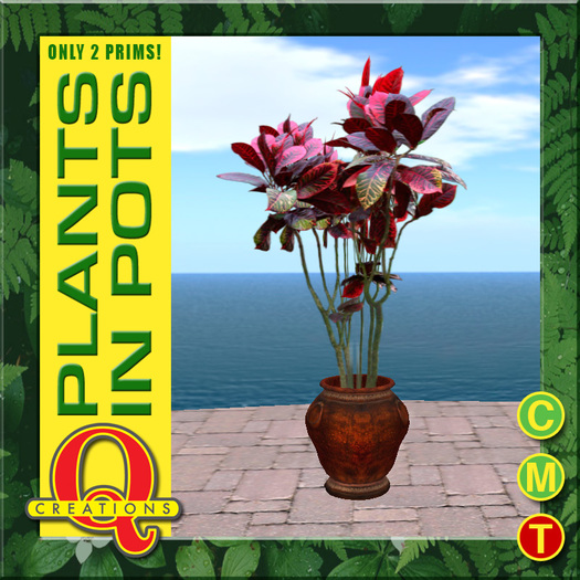 Houseplant 1 by Q Creations