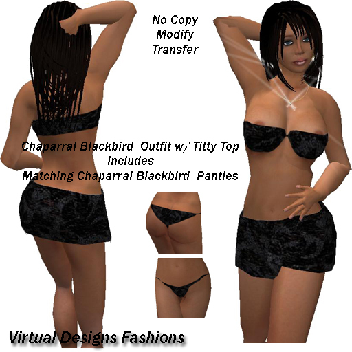 Chaparral Blackbird  Outfit w/ Titty Top