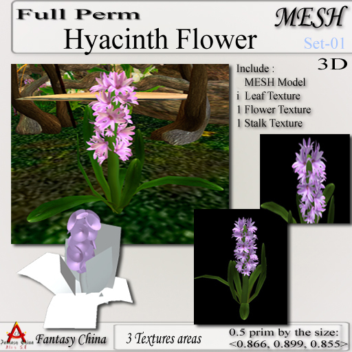 Full Perm Hyacinth Flower