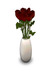 Vase red for mp