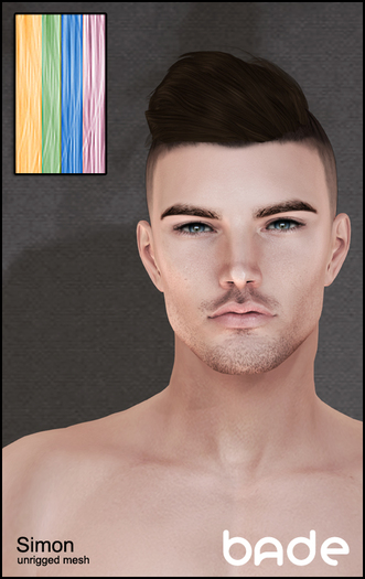 [bade] Simon COLORS