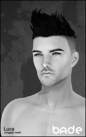 [bade] Luca DEMO