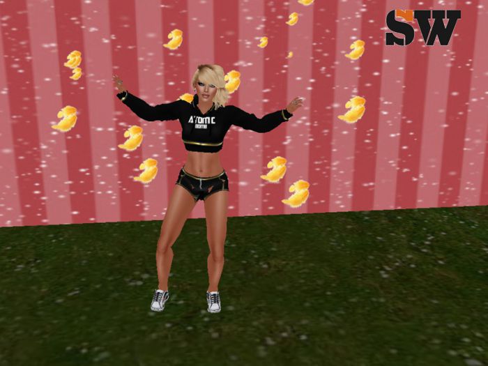 S/W Dance typer chicen