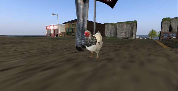 -CYRC- Chicken Avatar