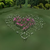Multicolor Valentine Flower Double Heart Field