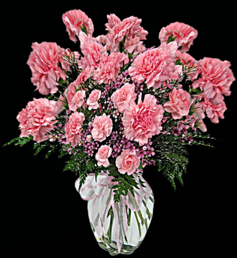 CARNATION MAGIC FLOWERS IN VASE