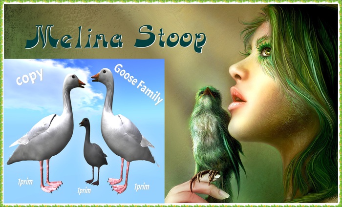 Goose Family  ( MP )