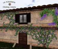 HouseClimbingWisteria