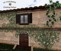 HouseClimbingHedera
