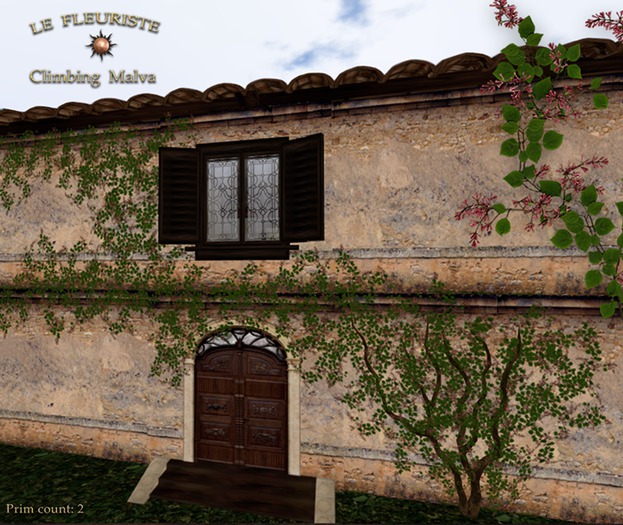 HouseClimbingMalva