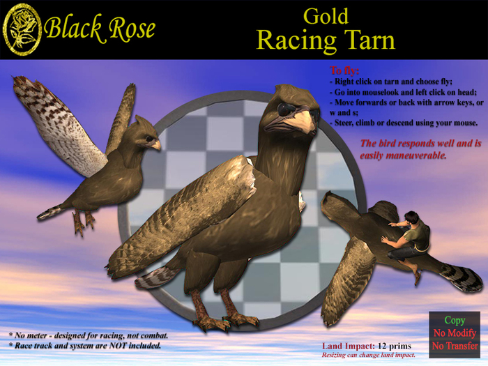 Black Rose Racing Tarn Gold