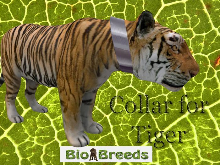 Collar Silver for Tiger Biobreeds Wild