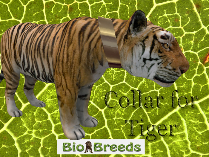 Collar Gold for Tiger Biobreeds Wild