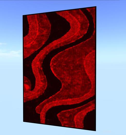 RUG MODERN RED-BLACK 51, V