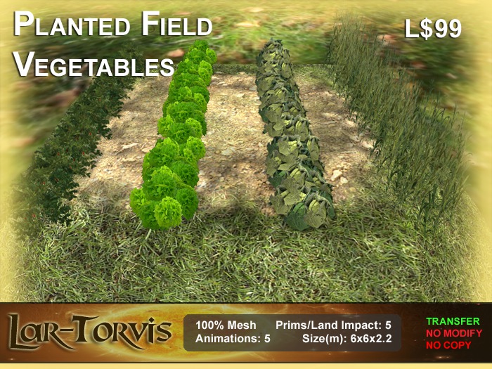 Planted Field - Vegetables