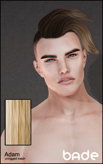 [bade] Adam BLONDES