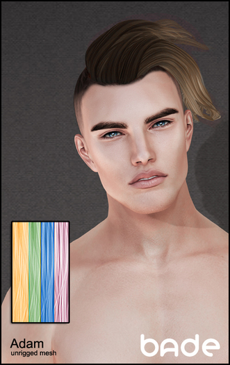 [bade] Adam COLORS