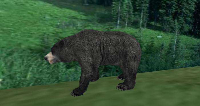TusK Male Black Bear Rideable, (Boxed)