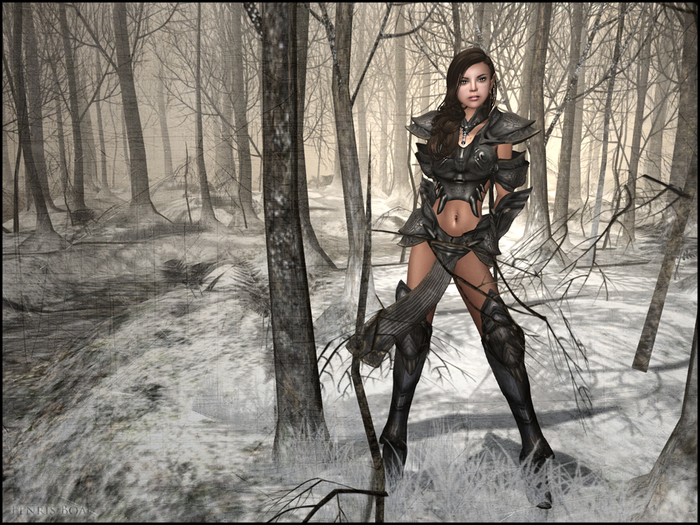 Elven Warrior