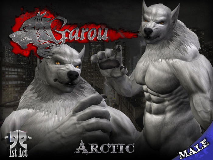 [1A] Garou Skin Applier - Male Arctic