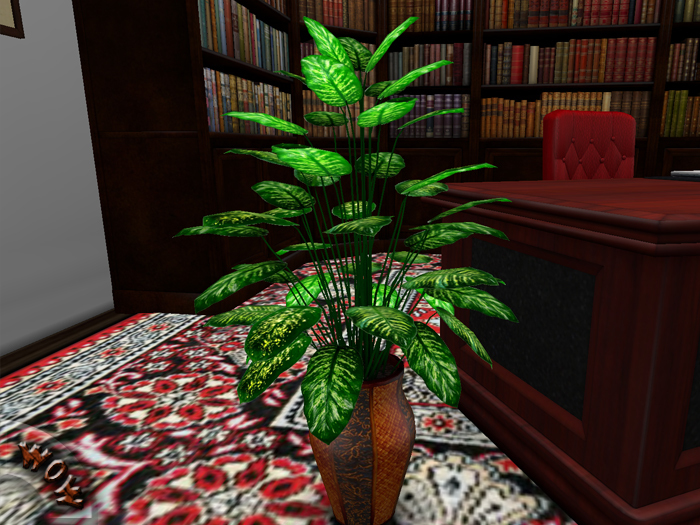 Office Dieffenbachia