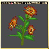 LW_ Mesh Daisy Plant - 7 (1 LI / Prim)