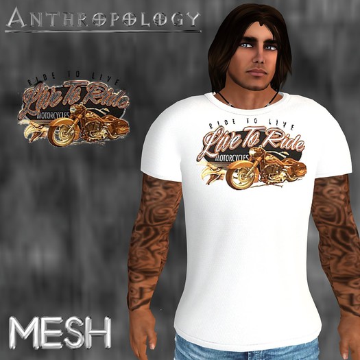 DEMO - I Can't Brain today, I have the Dumb M