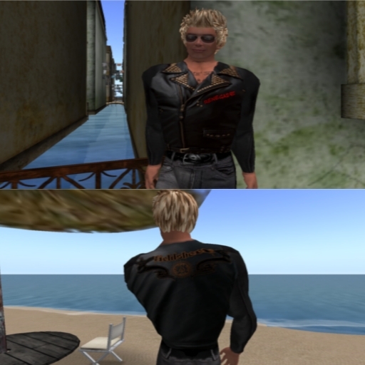 renegade leather jacket