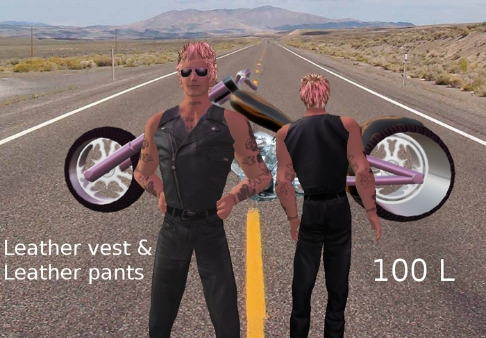 Leather vest & pants