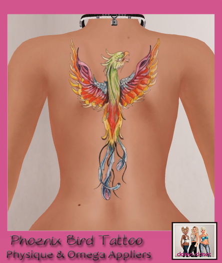 *DC - Pheonix Tattoo Boxed*