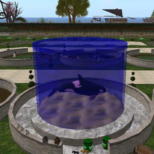 FISH ROUND SALES STALL