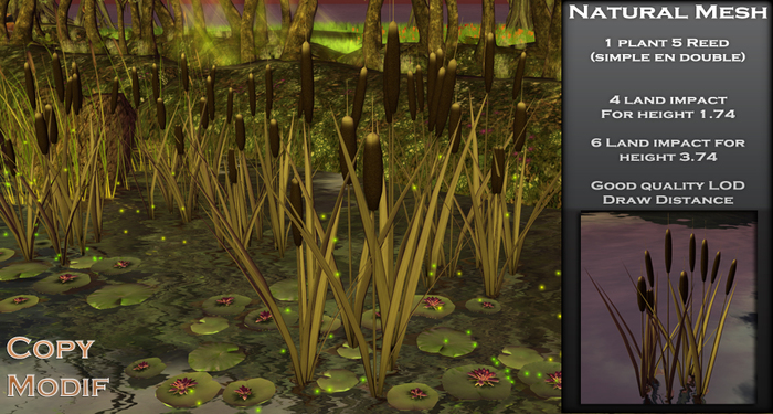 Reed  / Roseau Decoration Land *Mesh*