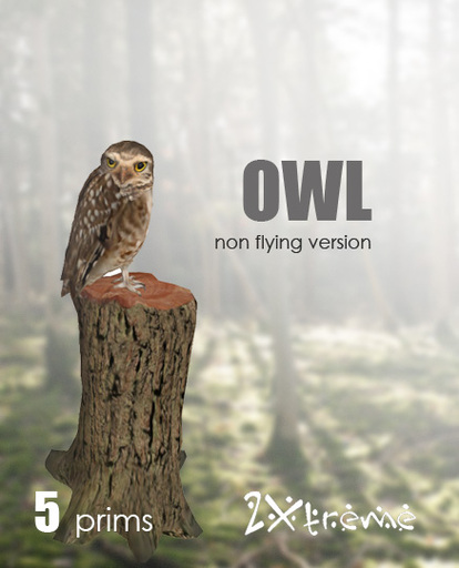 :: 2Xtreme :: owl