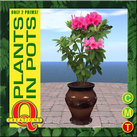 Houseplant 10 by Q Creations