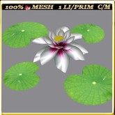 LW_ Lotus Mesh Light Pink