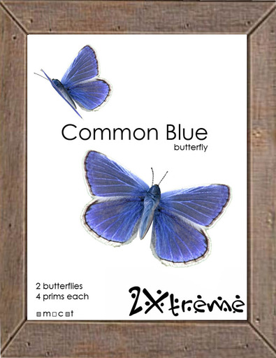 :: 2Xtreme :: Common Blue Butterfly, 2 pack
